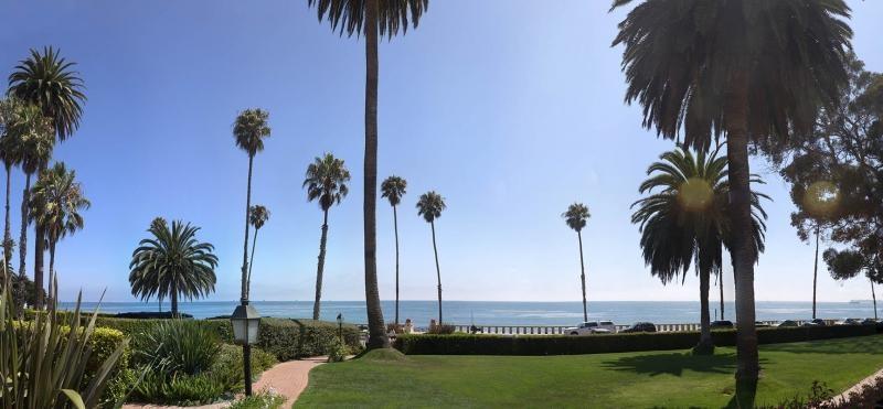 Landscape;Scenic;Hospitality;Hotel;Grass;Palm Trees;Ocean